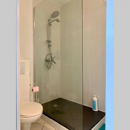 Апартаменты Duplex Centre Каркассон
